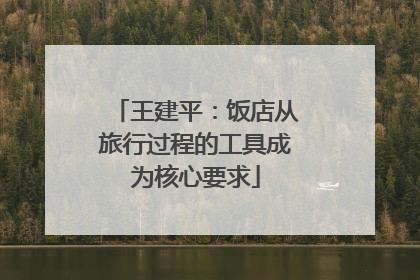 王建平：饭店从旅行过程的工具成为核心要求