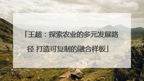 王超：探索农业的多元发展路径 打造可复制的融合样板