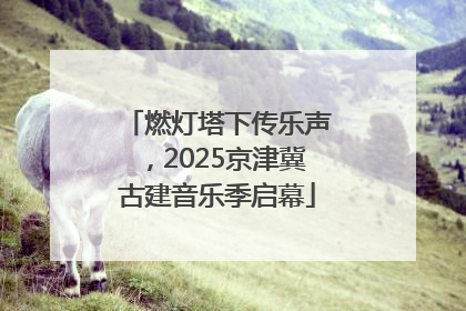 燃灯塔下传乐声，2025京津冀古建音乐季启幕