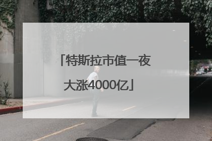 特斯拉市值一夜大涨4000亿