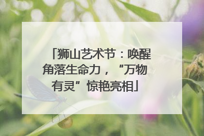 狮山艺术节：唤醒角落生命力，“万物有灵”惊艳亮相