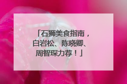 石狮美食指南，白岩松、陈晓卿、周智琛力荐！