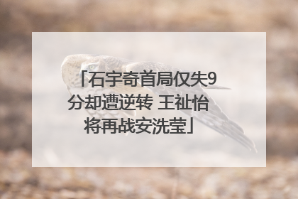 石宇奇首局仅失9分却遭逆转 王祉怡将再战安洗莹
