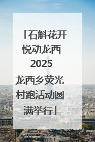 石斛花开 悦动龙西 2025龙西乡荧光村跑活动圆满举行