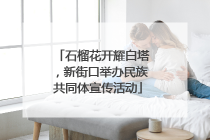 石榴花开耀白塔，新街口举办民族共同体宣传活动