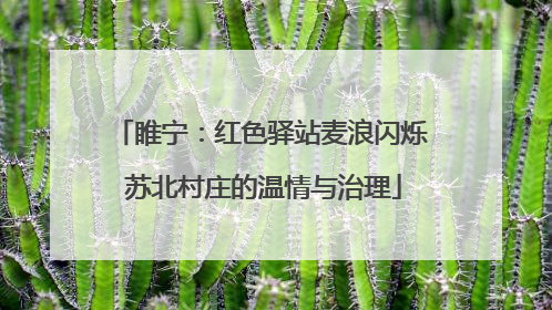 睢宁：红色驿站麦浪闪烁 苏北村庄的温情与治理