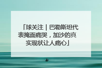 球关注｜巴勒斯坦代表掩面痛哭，加沙的真实现状让人痛心