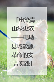 电染青山绿更浓——电助县域能源革命的安吉实践
