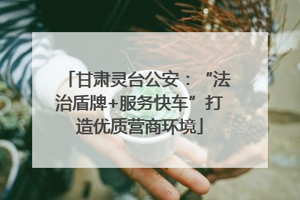 甘肃灵台公安：“法治盾牌+服务快车”打造优质营商环境