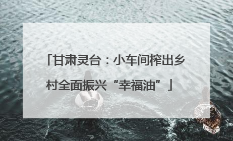 甘肃灵台：小车间榨出乡村全面振兴“幸福油”