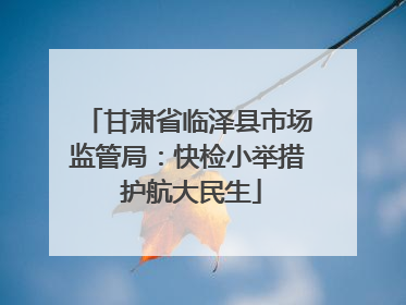 甘肃省临泽县市场监管局：快检小举措 护航大民生