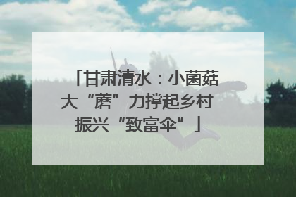甘肃清水：小菌菇大“蘑”力撑起乡村振兴“致富伞”