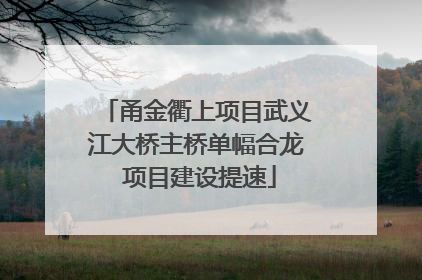 甬金衢上项目武义江大桥主桥单幅合龙 项目建设提速