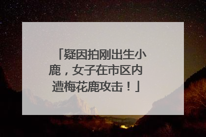 疑因拍刚出生小鹿,女子在市区内遭梅花鹿攻击!