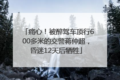 痛心！被醉驾车顶行600多米的交警蒋仲超，昏迷12天后牺牲