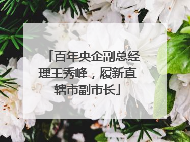 百年央企副总经理王秀峰，履新直辖市副市长