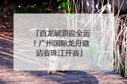 百龙破浪迎全运！广州国际龙舟邀请赛珠江开赛