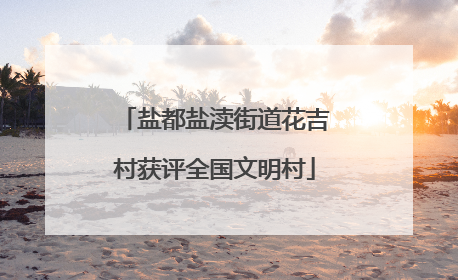 盐都盐渎街道花吉村获评全国文明村