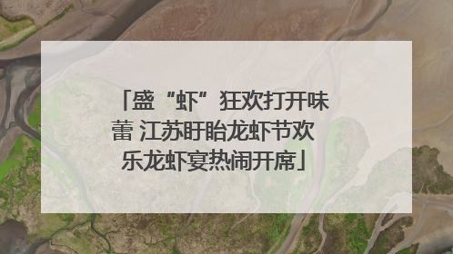 盛“虾”狂欢打开味蕾 江苏盱眙龙虾节欢乐龙虾宴热闹开席