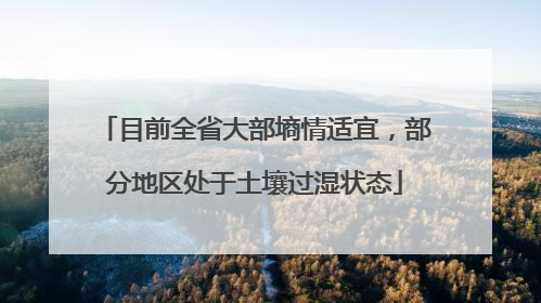 目前全省大部墒情适宜，部分地区处于土壤过湿状态