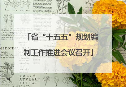 省“十五五”规划编制工作推进会议召开
