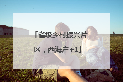 省级乡村振兴片区，西海岸+1