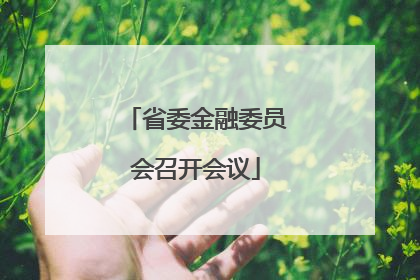 省委金融委员会召开会议