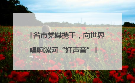 省市党媒携手，向世界唱响漯河“好声音”