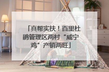 真帮实扶！百里杜鹃管理区两村“威宁鸡”产销两旺