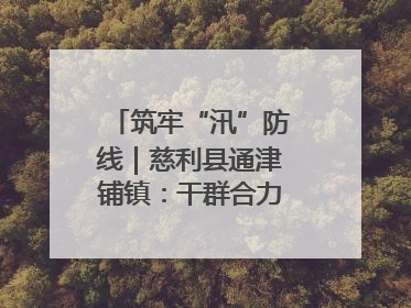 筑牢“汛”防线｜慈利县通津铺镇：干群合力抗击洪灾