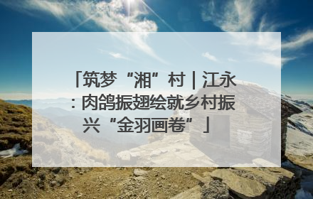 筑梦“湘”村｜江永：肉鸽振翅绘就乡村振兴“金羽画卷”