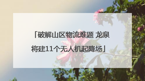 破解山区物流难题 龙泉将建11个无人机起降场