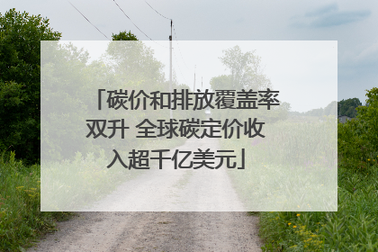 碳价和排放覆盖率双升 全球碳定价收入超千亿美元