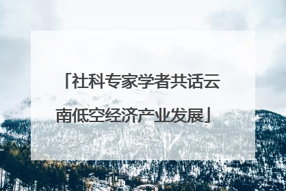 社科专家学者共话云南低空经济产业发展