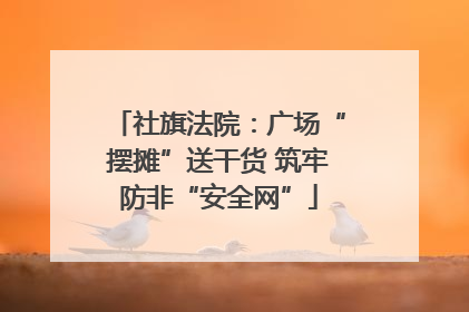 社旗法院：广场“摆摊”送干货 筑牢防非“安全网”
