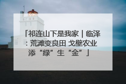 祁连山下是我家｜临泽：荒滩变良田 戈壁农业添“绿”生“金”