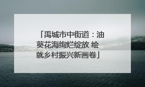 禹城市中街道：油葵花海绚烂绽放 绘就乡村振兴新画卷