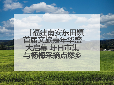 福建南安东田镇首届文旅嘉年华盛大启幕 圩日市集与杨梅采摘点燃乡村振兴新动能