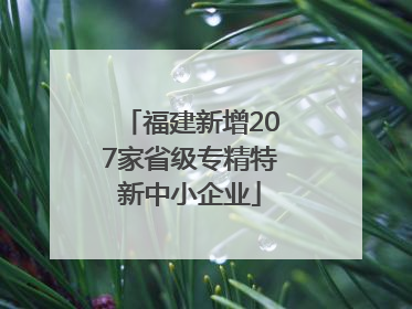 福建新增207家省级专精特新中小企业