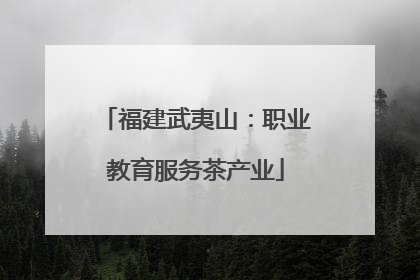 福建武夷山：职业教育服务茶产业