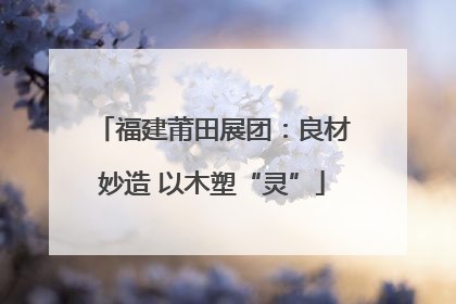 福建莆田展团：良材妙造 以木塑“灵”
