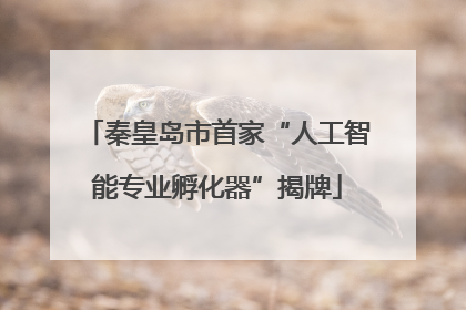 秦皇岛市首家“人工智能专业孵化器”揭牌
