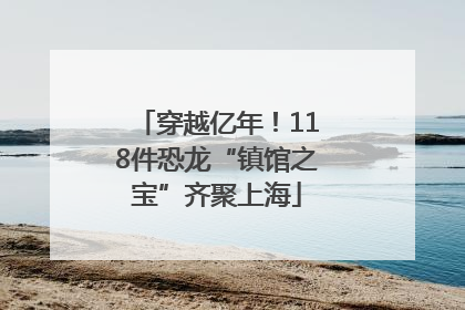 穿越亿年!118件恐龙“镇馆之宝”齐聚上海