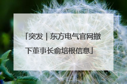 突发｜东方电气官网撤下董事长俞培根信息