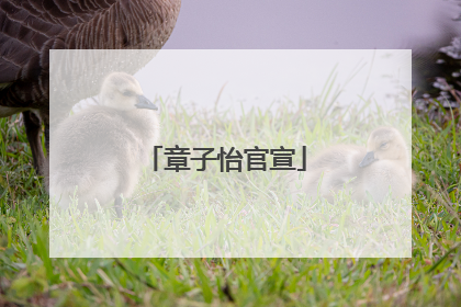 章子怡官宣