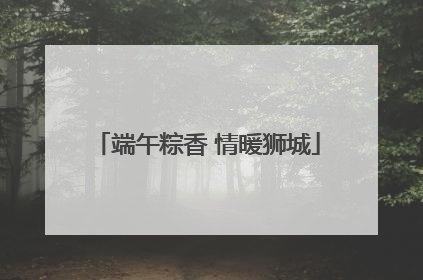 端午粽香 情暖狮城