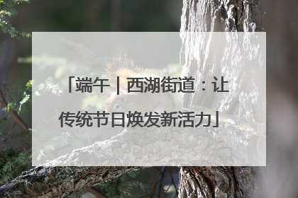 端午｜西湖街道：让传统节日焕发新活力