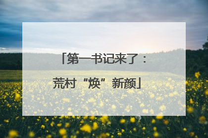 第一书记来了：荒村“焕”新颜