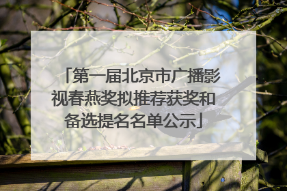 第一届北京市广播影视春燕奖拟推荐获奖和备选提名名单公示