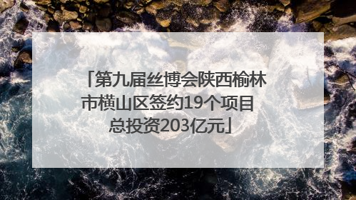 第九届丝博会陕西榆林市横山区签约19个项目 总投资203亿元